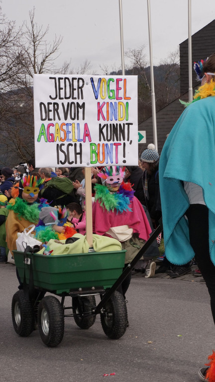2020_02_25_Faschingsumzug_G__fis__c__R_Sonderegger_42_1.JPG