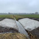 2 - 2020-01-22_Schweizer Ried_Grabenaufweitung-Kiebitz_IMG_6576_c_RM Eur___.jpg