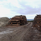 Holzlagerplatz Deponie _1_.jpg