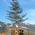 IMG-20190316-WA0005.jpg