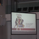 IMG_1286.jpg