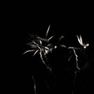 49-IMG_5858.JPG