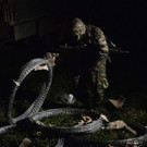 AFP_1PG9M8.jpg