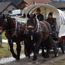 DSC_2372a.jpg