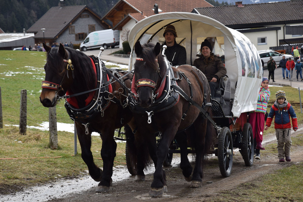 DSC_2372a.jpg