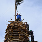 DSC_2389a.jpg