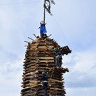 DSC_2393a.jpg