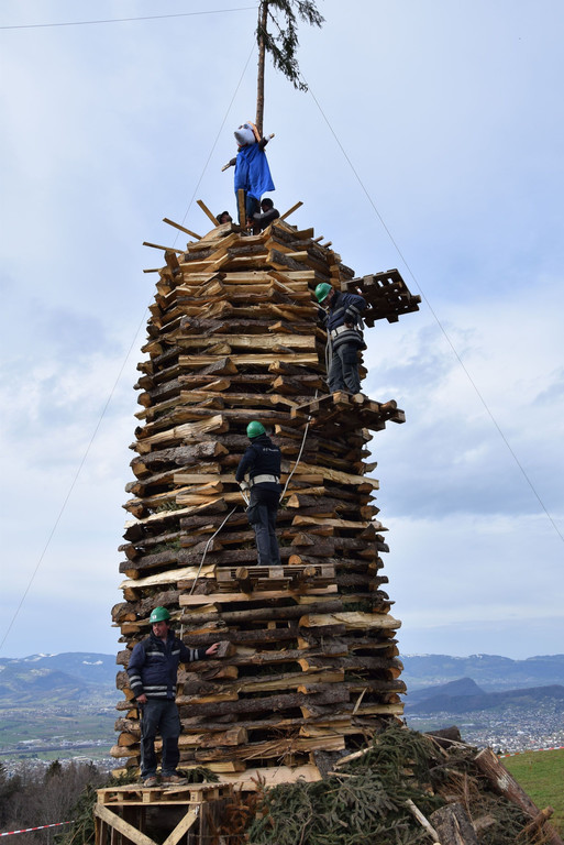 DSC_2393a.jpg