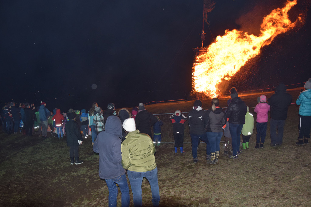 DSC_2426a - Kopie.jpg