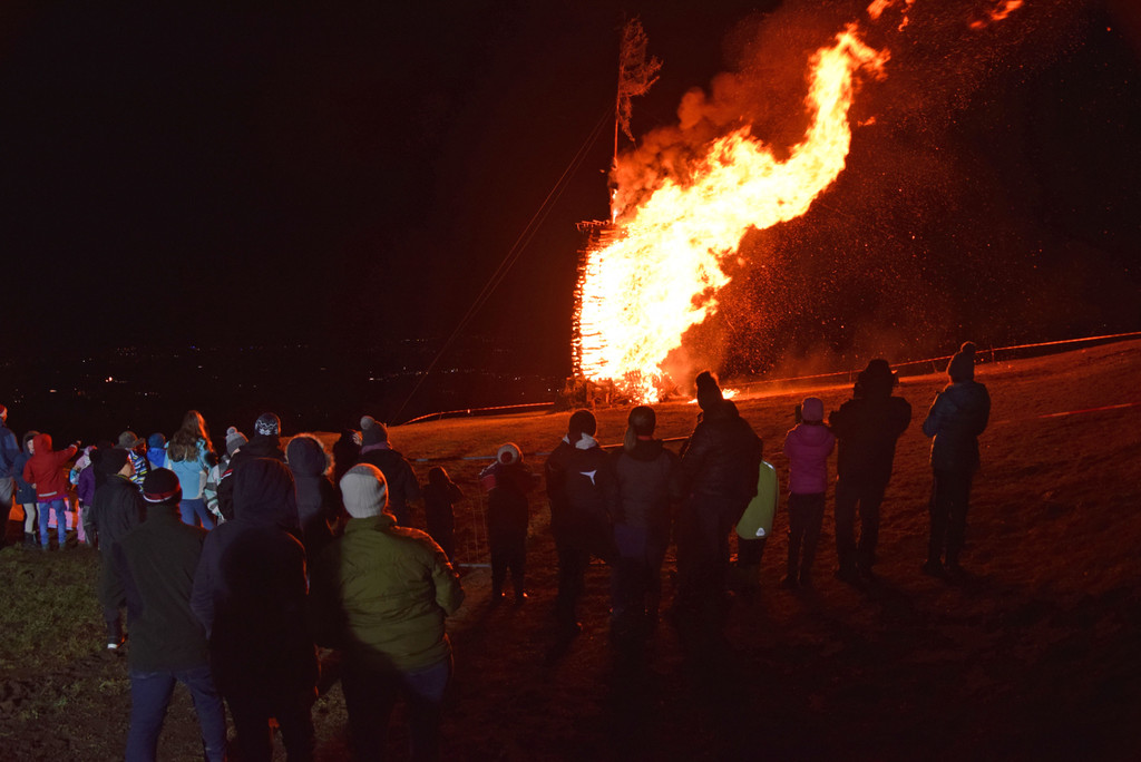 DSC_2428a - Kopie.jpg