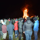 DSC_2442a.jpg