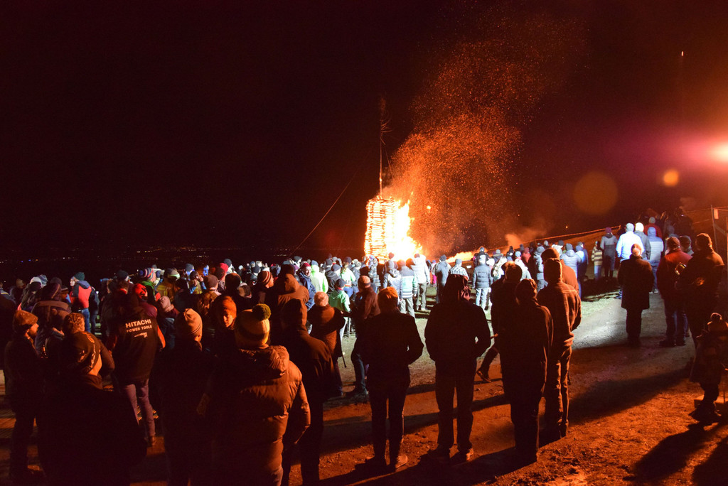 DSC_2447a.jpg