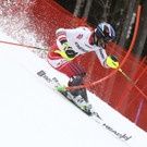 Austria_Alpine_Skiing_World_Cup_56741.jpg