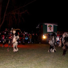 Funken B__UMLE F Bodaseet__fl Auftritt 29-02-2020 _11_.JPG