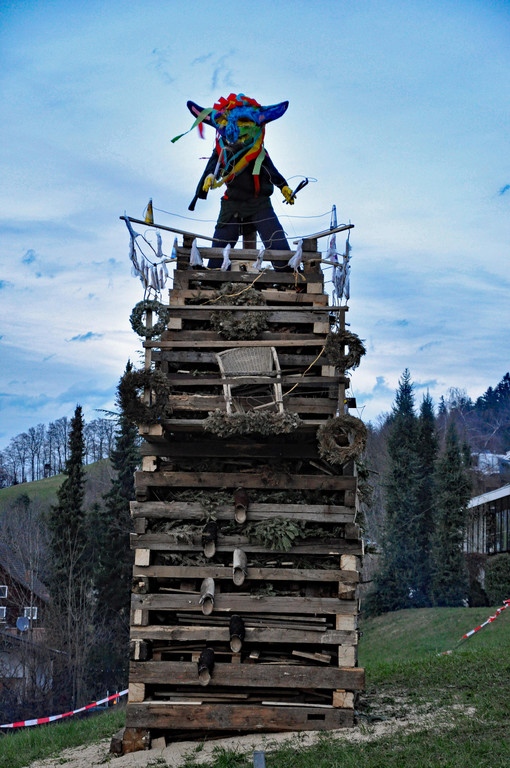 DSC_0537.JPG