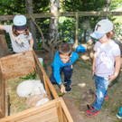 Der Ponyhof Tiere - Bild 2getmore KG.jpg