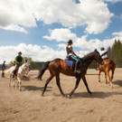 Reiten2 - Bild 2getmore KG.jpg