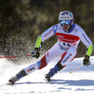 Austria_Alpine_Skiing_World_Cup_38023.jpg