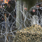Greece_Turkey_Migrants_08393.jpg