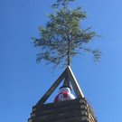 image4.jpeg