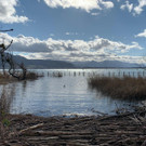 IMG-20200218-WA0017.jpg