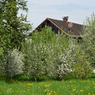 Muntlix