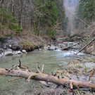 M__hlbach 180218_9.JPG