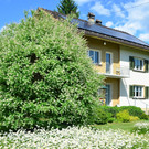 Natur 010619_14.JPG
