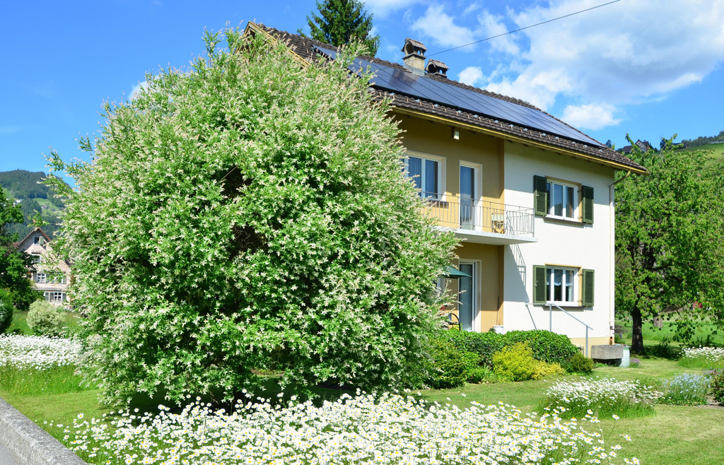 Natur 010619_14.JPG