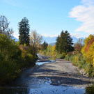 Natur 011118_5.JPG