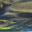 Natur 101119_3.JPG