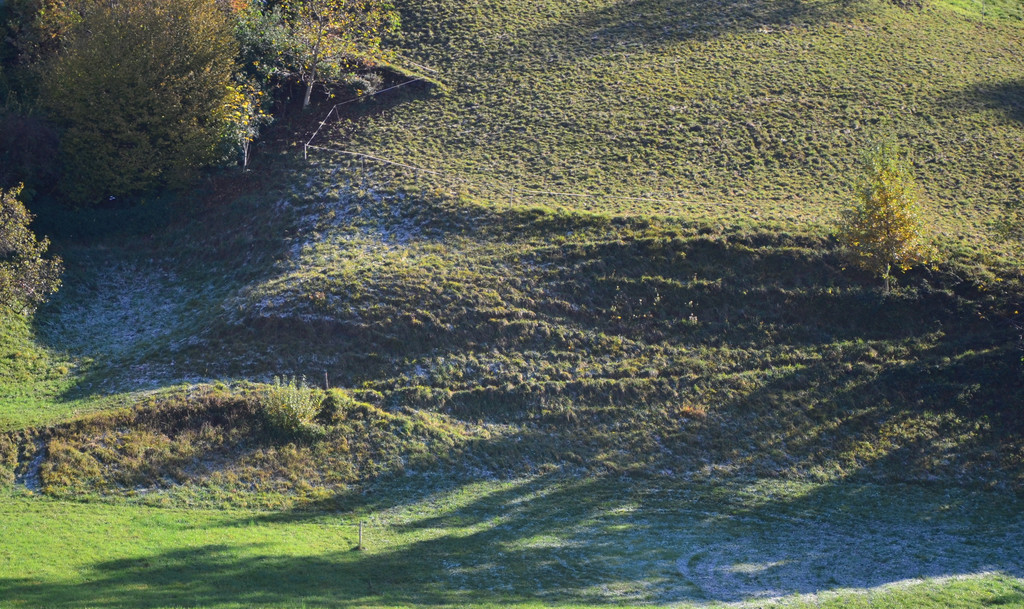 Natur 101119_3.JPG