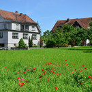 Natur 140619_16.JPG