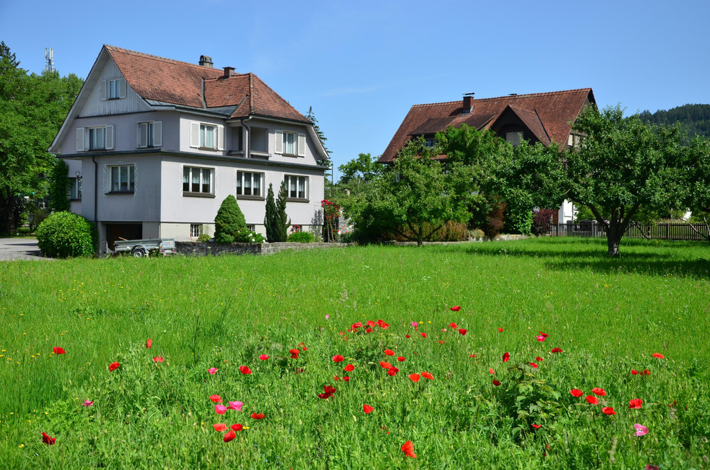 Natur 140619_16.JPG