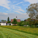 Natur 160519_6.JPG