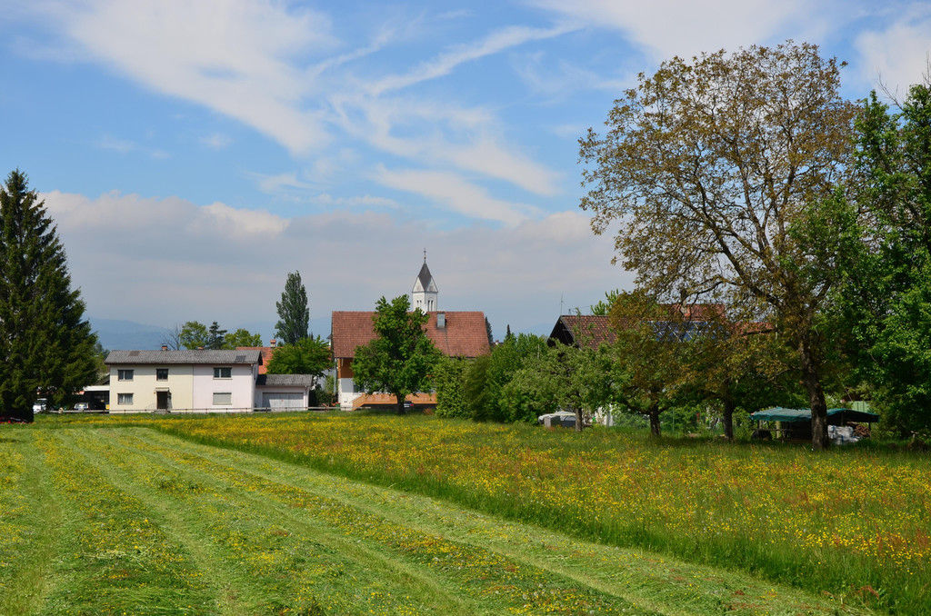 Natur 160519_6.JPG