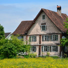 Natur 160519_22.JPG
