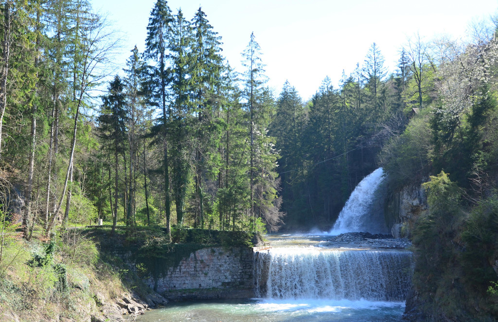 Natur 200419_12.JPG