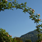 Zuhause 280517_3.JPG