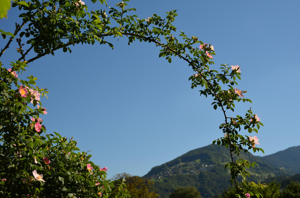 Zuhause 280517_3.JPG