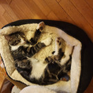 20200120_235341.jpg