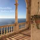Herrliche Mandelblüte auf Mallorca vom Vorarlberger Seniorenbund