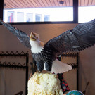 IMG_4991.JPG