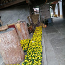 IMG-20200306-WA0019.jpg