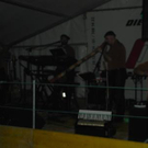 630871.jpg