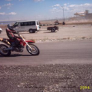631553.jpg