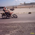 631554.jpg