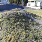 IMG_20200131_143527.jpg