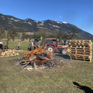 IMG_0583.JPEG