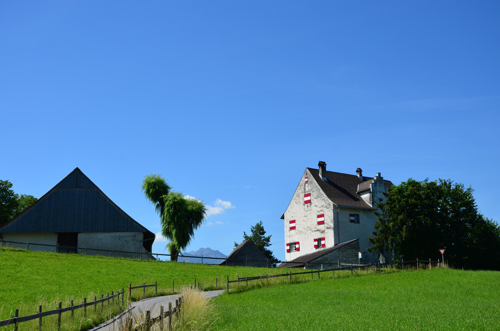 DSC_0926.JPG